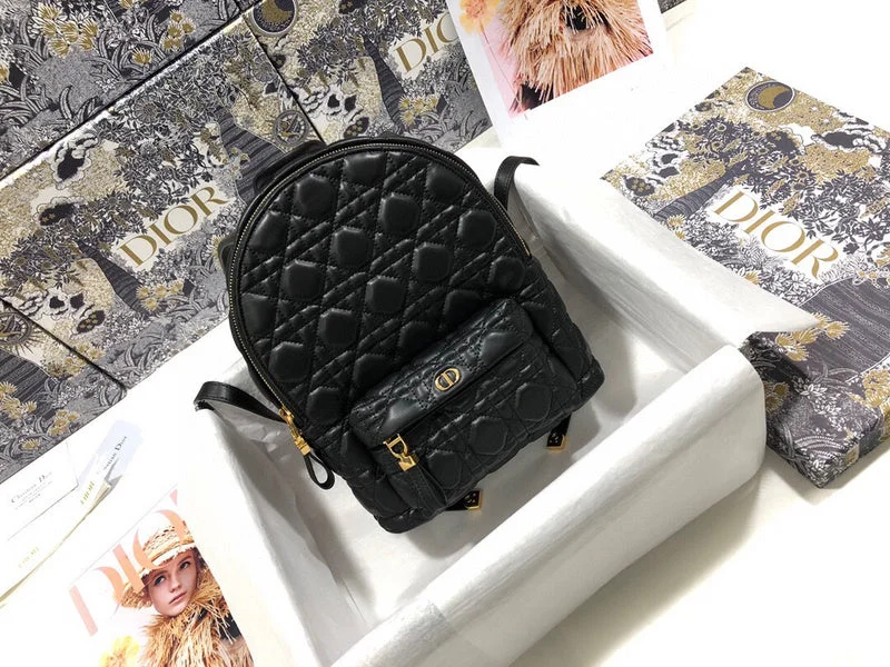 Dior Bag